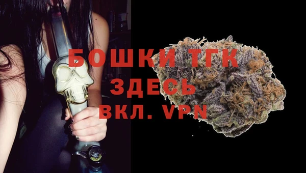 хмурый Вяземский