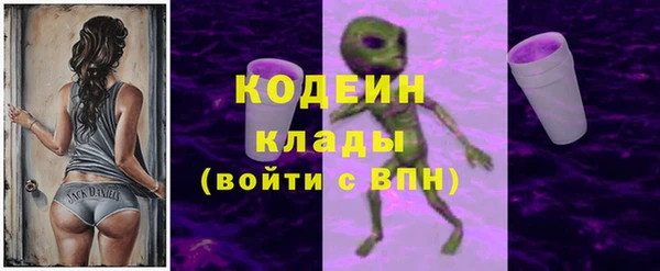 хмурый Вяземский
