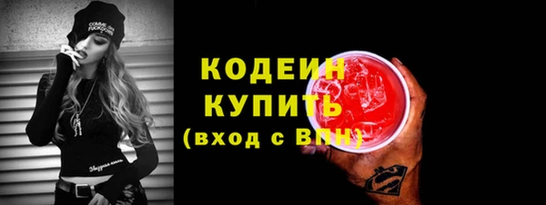 хмурый Вяземский