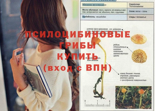 спиды Вязники