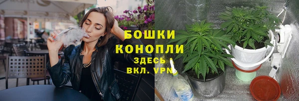 хмурый Вяземский