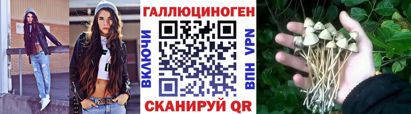 Галлюциногенные грибы ЛСД Купить Арсеньев